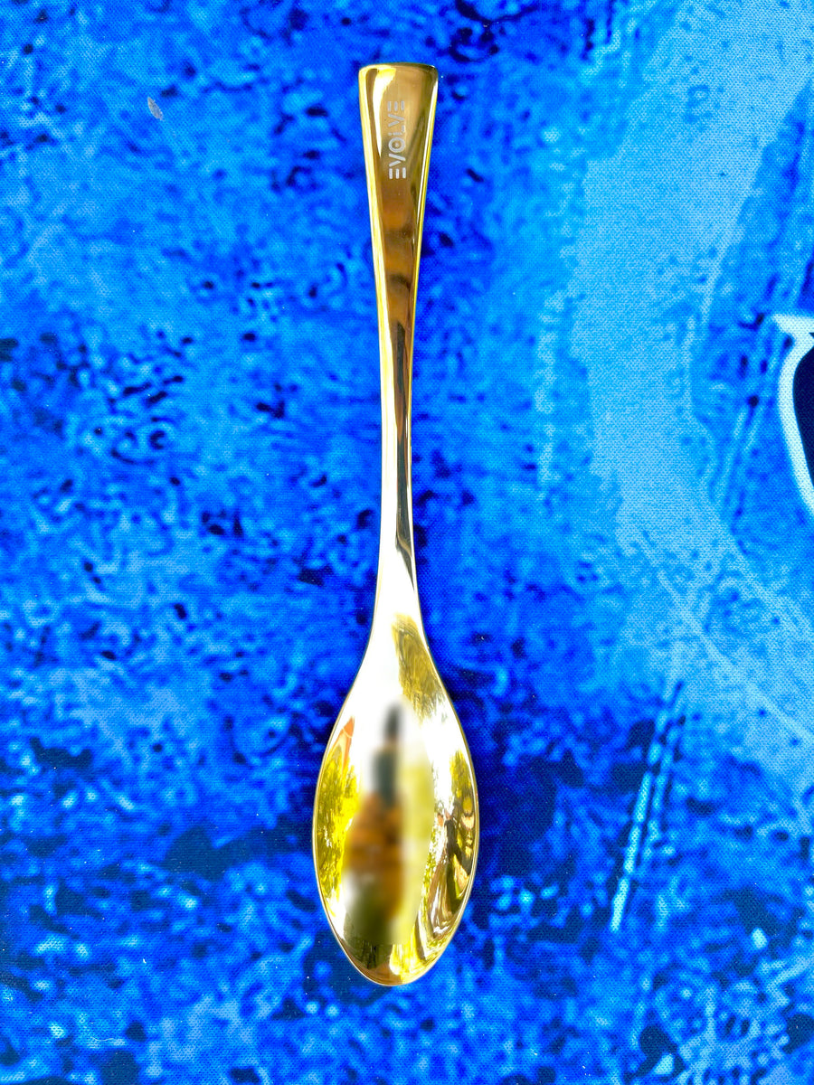 Quenelle / Rocher Spoon - Large – EvolveCulinary