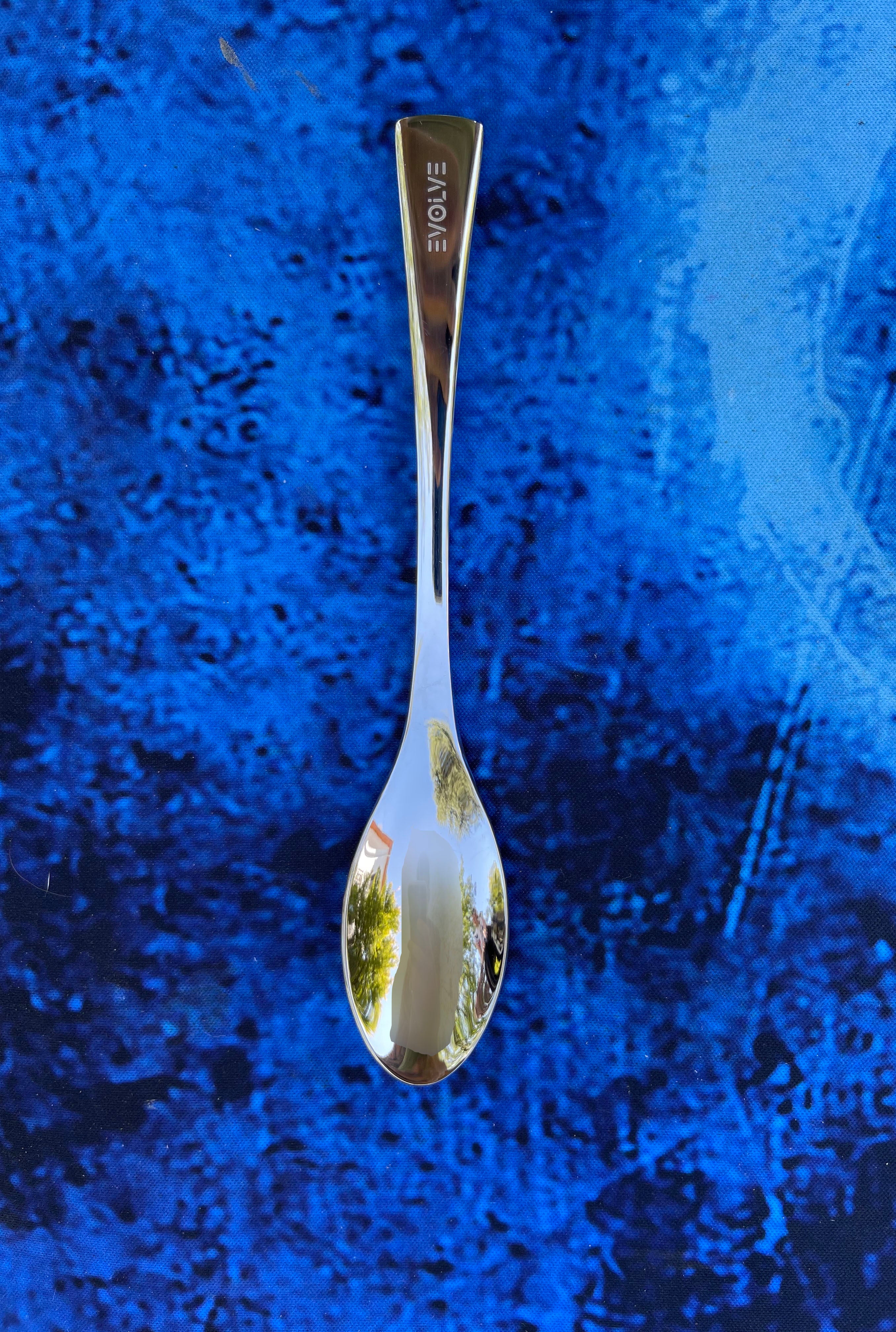 Small Rocher/Quenelle Spoon – EvolveCulinary